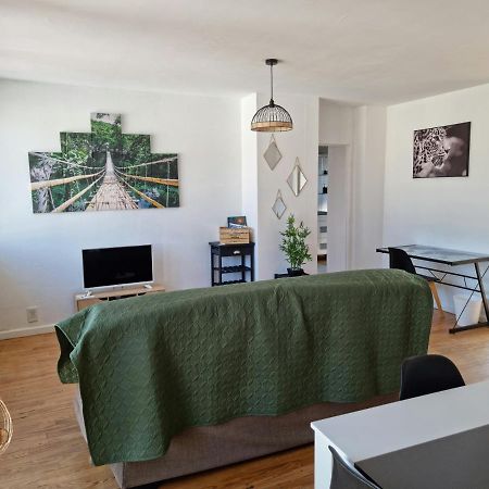 شقة Le Belvedere Vue Pyrenees, Familiale, Centre تارْب المظهر الخارجي الصورة